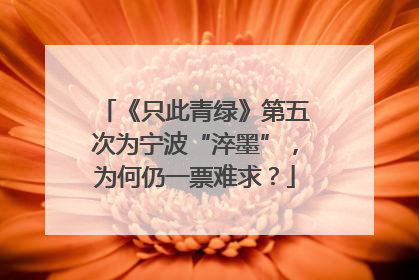 《只此青绿》第五次为宁波“淬墨”，为何仍一票难求？