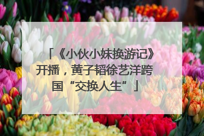 《小伙小妹换游记》开播，黄子韬徐艺洋跨国“交换人生”