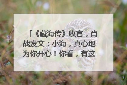 《藏海传》收官，肖战发文：小海，真心地为你开心！你看，有这么多人懂你！