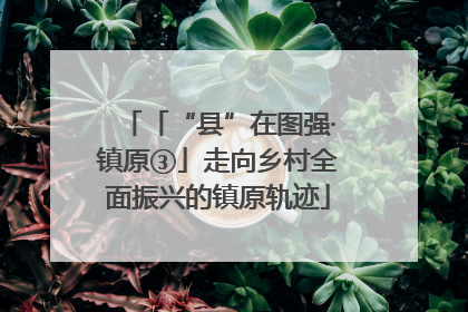 「“县”在图强·镇原③」走向乡村全面振兴的镇原轨迹