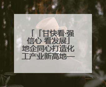 「甘快看·强信心 看发展」地企同心打造化工产业新高地——庆阳同欣50万吨/年轻烃深加工项目建设见闻
