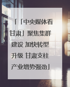 「中央媒体看甘肃」聚焦集群建设 加快转型升级 甘肃支柱产业增势强劲