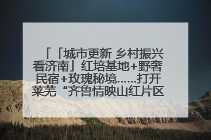 「城市更新 乡村振兴看济南」红培基地+野奢民宿+玫瑰秘境……打开莱芜“齐鲁情映山红片区”的破圈秘籍