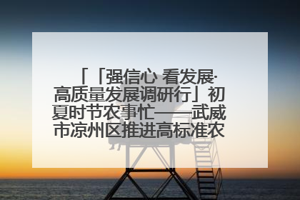 「强信心 看发展·高质量发展调研行」初夏时节农事忙——武威市凉州区推进高标准农田建设见闻