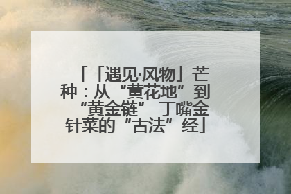 「遇见·风物」芒种：从“黄花地”到“黄金链” 丁嘴金针菜的“古法”经