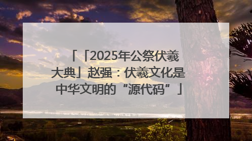 「2025年公祭伏羲大典」赵强：伏羲文化是中华文明的“源代码”