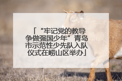 “牢记党的教导 争做强国少年”青岛市示范性少先队入队仪式在崂山区举办
