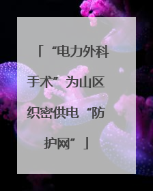 “电力外科手术”为山区织密供电“防护网”