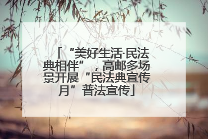 “美好生活·民法典相伴”，高邮多场景开展“民法典宣传月”普法宣传