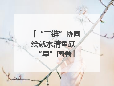 “三链”协同 绘就水清鱼跃“星”画卷