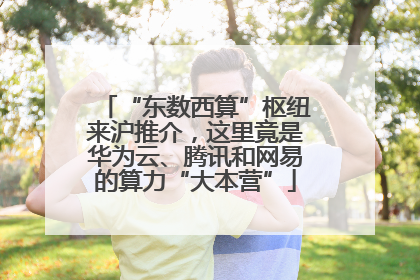 “东数西算”枢纽来沪推介，这里竟是华为云、腾讯和网易的算力“大本营”