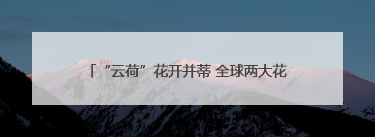 “云荷”花开并蒂 全球两大花都昆明&阿姆斯特丹强强联手