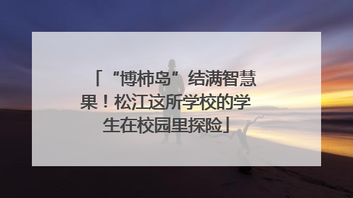 “博柿岛”结满智慧果！松江这所学校的学生在校园里探险