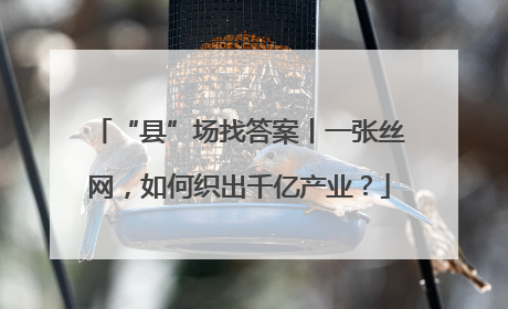 “县”场找答案丨一张丝网，如何织出千亿产业？