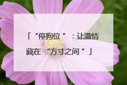 “停狗位 ”：让温情藏在 “方寸之间 ”