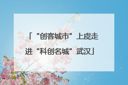 “创客城市”上虞走进“科创名城”武汉