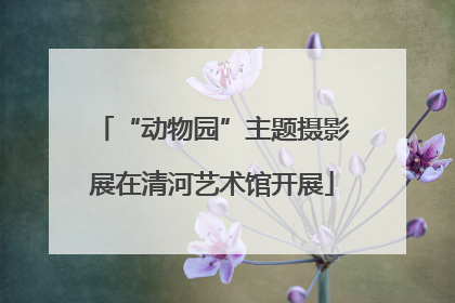 “动物园”主题摄影展在清河艺术馆开展
