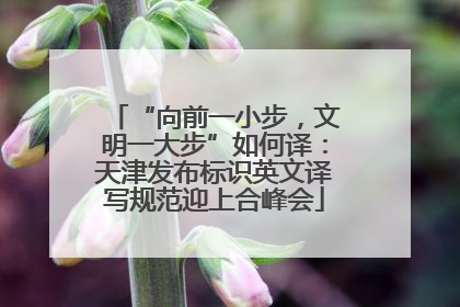 “向前一小步，文明一大步”如何译：天津发布标识英文译写规范迎上合峰会