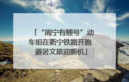 “周宁有鲤号”动车组在衢宁铁路开跑 避暑文旅迎新机