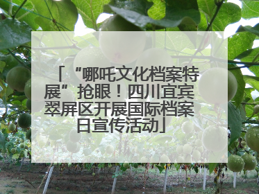“哪吒文化档案特展”抢眼！四川宜宾翠屏区开展国际档案日宣传活动