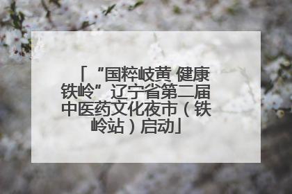 “国粹岐黄 健康铁岭”辽宁省第二届中医药文化夜市（铁岭站）启动