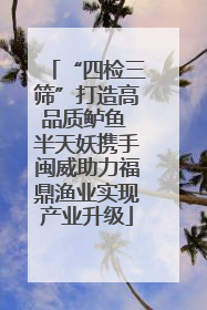 “四检三筛”打造高品质鲈鱼 半天妖携手闽威助力福鼎渔业实现产业升级