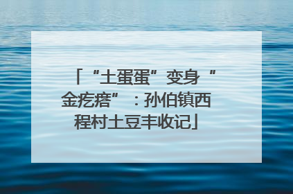 “土蛋蛋”变身“金疙瘩”：孙伯镇西程村土豆丰收记