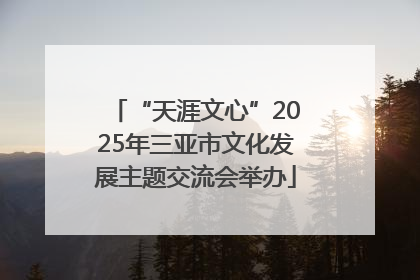 “天涯文心”2025年三亚市文化发展主题交流会举办