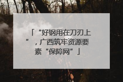 “好钢用在刀刃上”，广西筑牢资源要素“保障网”