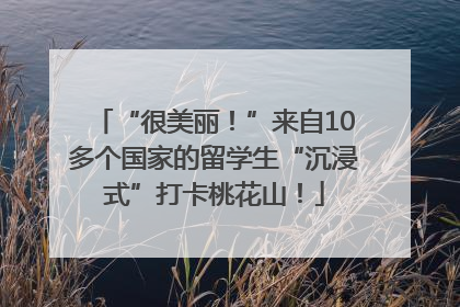 “很美丽！”来自10多个国家的留学生“沉浸式”打卡桃花山！