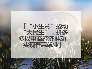 “小生意”撬动“大民生”，拼多多以电商经济推动实现普惠就业