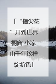 “指尖花”开到世界橱窗 小凉山千年纹样绽新色