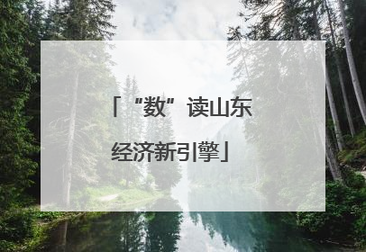 “数”读山东经济新引擎