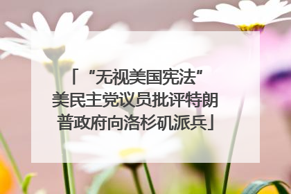 “无视美国宪法” 美民主党议员批评特朗普政府向洛杉矶派兵