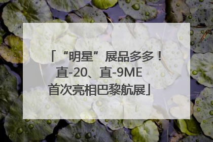 “明星”展品多多！直-20、直-9ME首次亮相巴黎航展