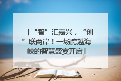 “智”汇嘉兴，“创”联两岸！一场跨越海峡的智慧盛宴开启