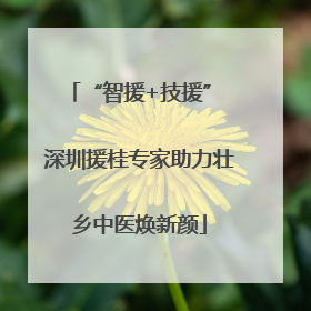 “智援+技援” 深圳援桂专家助力壮乡中医焕新颜