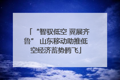 “智驭低空 翼展齐鲁” 山东移动助推低空经济蓄势腾飞