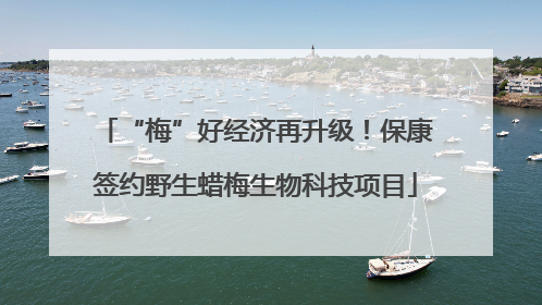 “梅”好经济再升级！保康签约野生蜡梅生物科技项目