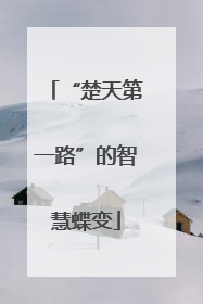 “楚天第一路”的智慧蝶变
