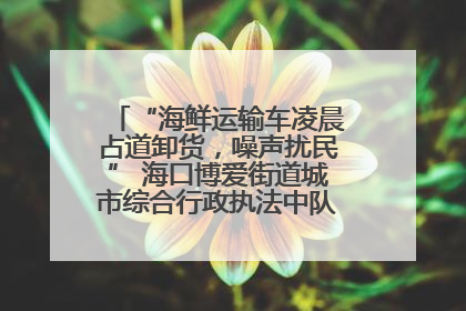 “海鲜运输车凌晨占道卸货，噪声扰民” 海口博爱街道城市综合行政执法中队：将联合交警加强长堤路一带巡逻