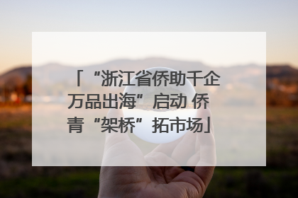 “浙江省侨助千企万品出海”启动 侨青“架桥”拓市场