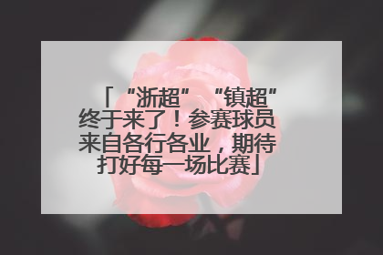 “浙超”“镇超”终于来了！参赛球员来自各行各业，期待打好每一场比赛