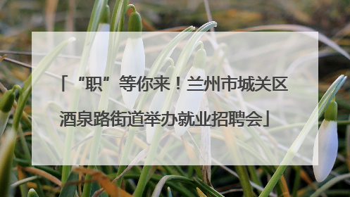 “职”等你来！兰州市城关区酒泉路街道举办就业招聘会