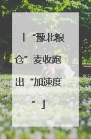 “豫北粮仓”麦收跑出“加速度”