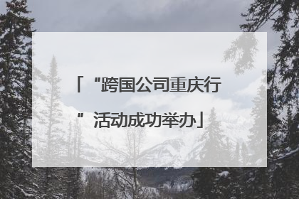 “跨国公司重庆行”活动成功举办
