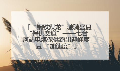 “钢铁煤龙”驰骋盛夏 “保供赛道”——七台河站电煤保供跑出迎峰度夏 “加速度”