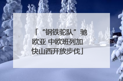 “钢铁驼队”驰欧亚 中欧班列加快山西开放步伐