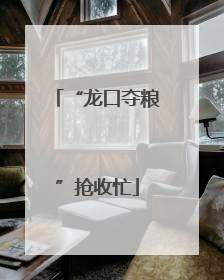 “龙口夺粮”抢收忙