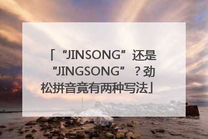 “JINSONG”还是“JINGSONG”？劲松拼音竟有两种写法